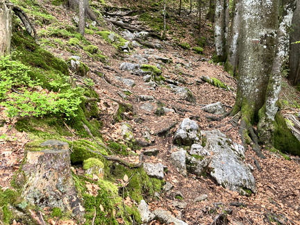 23-05-23 10-06-21 5569